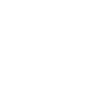Worldwide Shipping